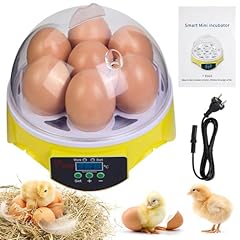 Howooiua mini egg for sale  Delivered anywhere in USA 