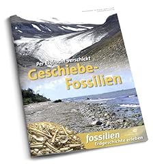 Geschiebe fossilien per gebraucht kaufen  Wird an jeden Ort in Deutschland