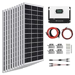Expertpower 1000w 12v for sale  Delivered anywhere in USA 