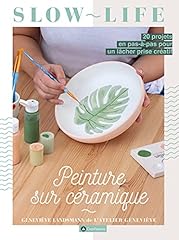 Peinture céramique projets d'occasion  Livré partout en France