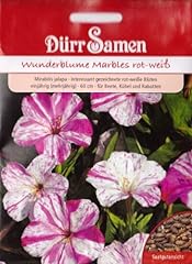 Wunderblume mirabilis jalapa gebraucht kaufen  Wird an jeden Ort in Deutschland