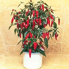 Suttons chilli pepper for sale  Delivered anywhere in UK