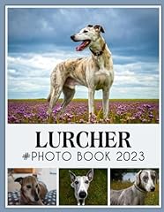Lurcher picture book for sale  Delivered anywhere in UK