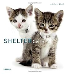 Shelter cats for sale  Delivered anywhere in UK