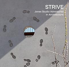 Strive jones studio usato  Spedito ovunque in Italia 