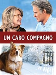 Darling companion usato  Spedito ovunque in Italia 