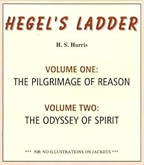 Hegel ladder d'occasion  Livré partout en France