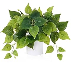 Waipfaru faux plants for sale  Delivered anywhere in USA 
