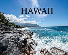 Hawaii photo book d'occasion  Livré partout en France