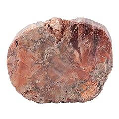 Amogeeli natural petrified for sale  Delivered anywhere in USA 