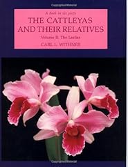Cattleyas relatives laelias for sale  Delivered anywhere in USA 