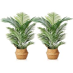 Lomanto fake majesty for sale  Delivered anywhere in USA 