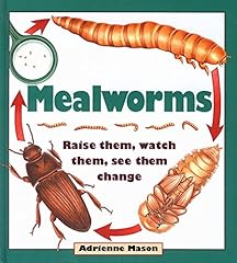 Mealworms raise watch for sale  Delivered anywhere in USA 