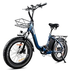 Hanevear bike klapprad gebraucht kaufen  Wird an jeden Ort in Deutschland