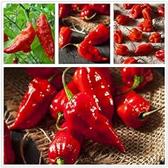 Ghost hot pepper for sale  Delivered anywhere in Ireland
