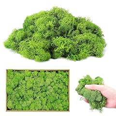Forhome iceland moss for sale  Delivered anywhere in UK