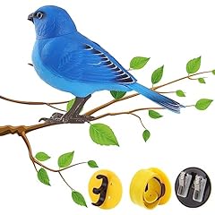 Electric singing chirping for sale  Delivered anywhere in USA 