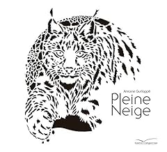 Pleine neige d'occasion  Livré partout en Belgiqu