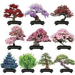 300 bonsai tree for sale  Delivered anywhere in USA 