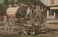 Horse drawn covered for sale  Delivered anywhere in USA 
