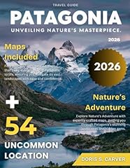 Patagonia 2026 towering for sale  Delivered anywhere in USA 