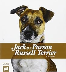 Jack parson russel usato  Spedito ovunque in Italia 