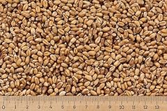 Weizen ganzes korn gebraucht kaufen  Wird an jeden Ort in Deutschland