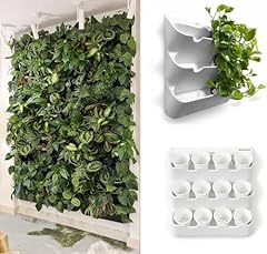 Boxsand living wall for sale  Delivered anywhere in USA 