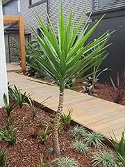 1148 giant mountain for sale  Delivered anywhere in USA 