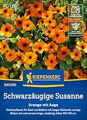 Kiepenkerl schwarzäugige susa gebraucht kaufen  Wird an jeden Ort in Deutschland