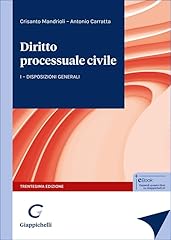 Diritto processuale civile. usato  Spedito ovunque in Italia 