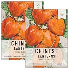 Seed needs chinese for sale  Delivered anywhere in USA 