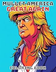 Mullet america great gebraucht kaufen  Wird an jeden Ort in Deutschland