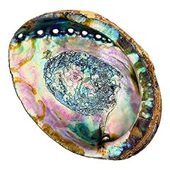 Hand selected abalone for sale  Delivered anywhere in USA 