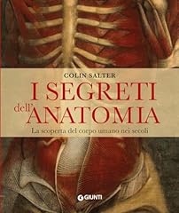 Segreti dell anatomia. usato  Spedito ovunque in Italia 