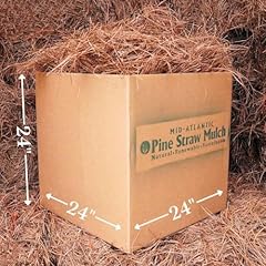Mid atlantic pine for sale  Delivered anywhere in USA 