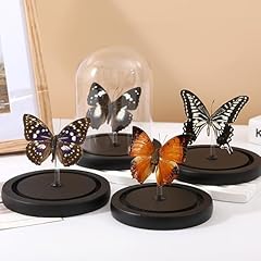 Handmade butterfly specimen for sale  Delivered anywhere in USA 