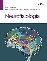 Neurofisiologia usato  Spedito ovunque in Italia 