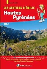 labrit pyrenees chiot labrit d'occasion  Livré partout en France