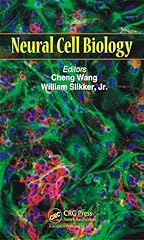 Neural cell biology d'occasion  Livré partout en France