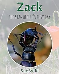 Zack stag beetle for sale  Delivered anywhere in Ireland