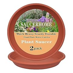 Saucerhome packs plant for sale  Delivered anywhere in USA 