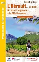 Hérault... pied 69 d'occasion  Livré partout en France