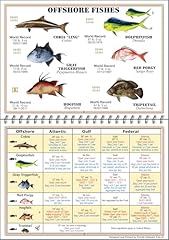 Florida saltwater fish for sale  Delivered anywhere in USA 