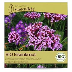 Samenliebe bio eisenkraut gebraucht kaufen  Wird an jeden Ort in Deutschland