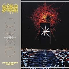 Luminescent bridge vinyl gebraucht kaufen  Wird an jeden Ort in Deutschland