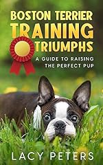 Boston terrier training for sale  Delivered anywhere in UK