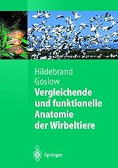 Vergleichende funktionelle ana gebraucht kaufen  Wird an jeden Ort in Deutschland