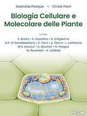 Biologia cellulare molecolare usato  Spedito ovunque in Italia 