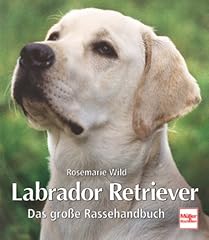 Labrador retriever große gebraucht kaufen  Wird an jeden Ort in Deutschland